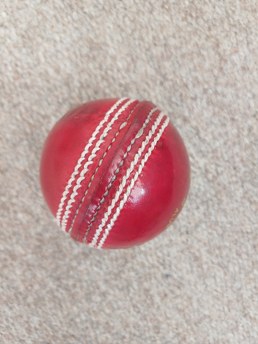 Cricket Ball Adult