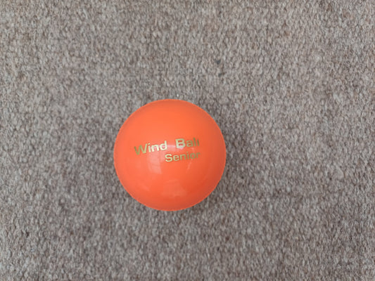 Practice Ball WINDBALL 6 PACK